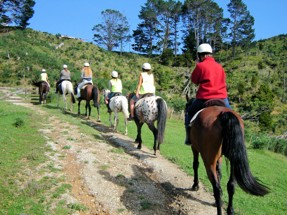 Horse Riding, Wine Tasting & Art Trail Private Tour