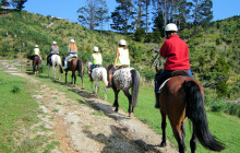 Auckland and Beyond Tours1