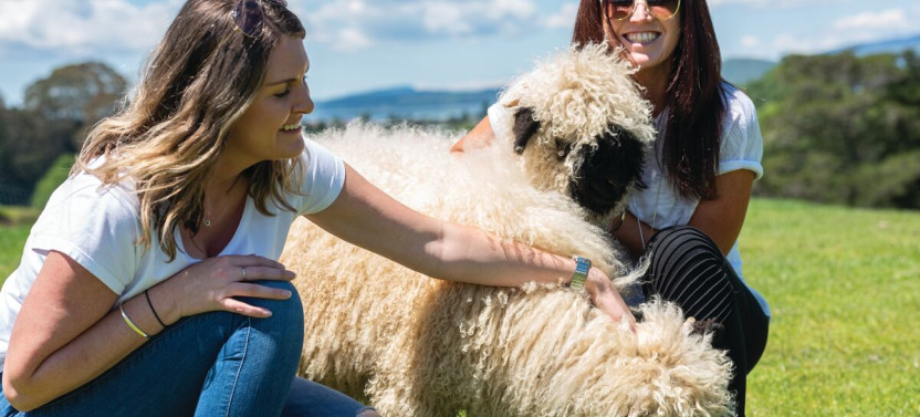 Rotorua Adventures Private Tour