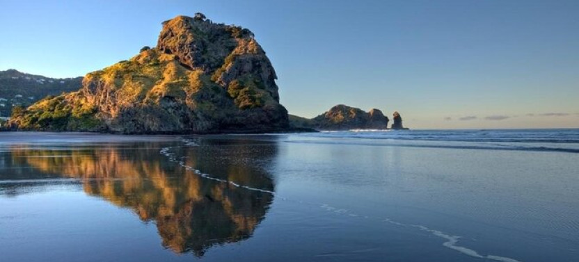 West Coast Discovery Piha Beach Private Tour