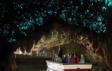 Auckland and Beyond Tours7