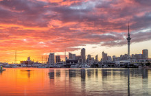 Auckland and Beyond Tours5