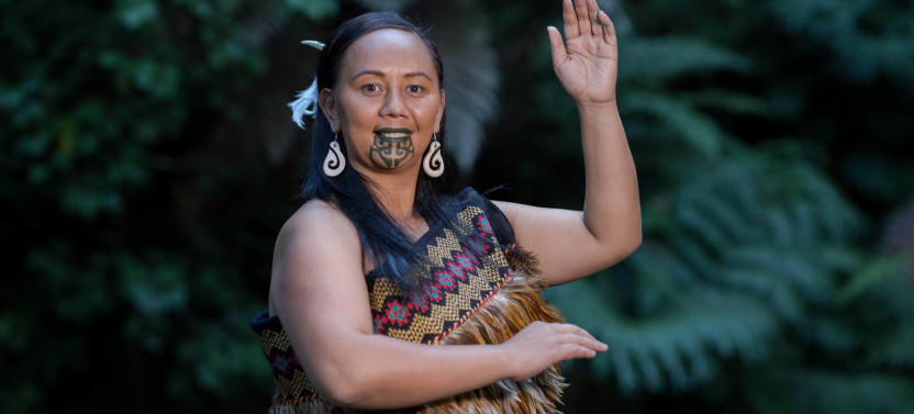 Maori Evening Dinner & Show Experience Private Tour