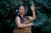 Auckland and Beyond Tours3