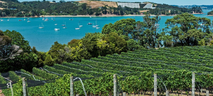 Waiheke Island Luxury Experience Private Tour