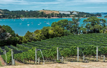 Auckland and Beyond Tours1