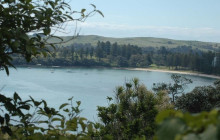 Auckland and Beyond Tours2