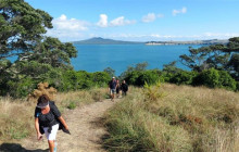 Auckland and Beyond Tours4