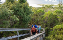 Auckland and Beyond Tours2