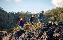 Auckland and Beyond Tours3