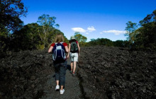 Auckland and Beyond Tours4