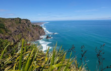 Auckland and Beyond Tours4