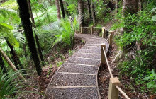 Auckland and Beyond Tours5