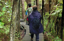 Auckland and Beyond Tours3