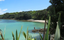 Auckland and Beyond Tours4