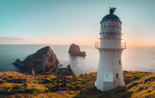 Auckland and Beyond Tours1