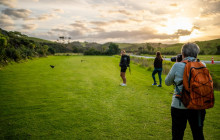 Auckland and Beyond Tours2
