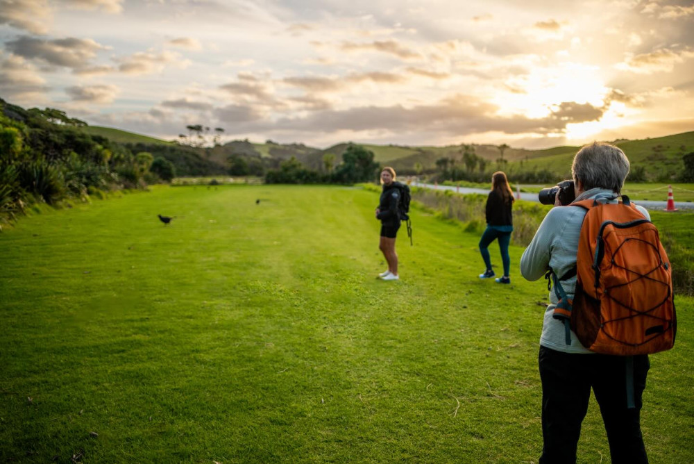 Kiwi Wilderness Experience (Self-Drive Option)