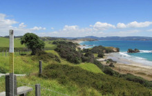 Auckland and Beyond Tours5