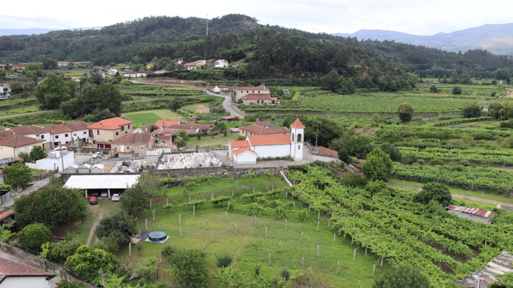 From Porto: Melgaço & Monção Alvarinho Wine Tour
