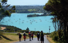 Auckland and Beyond Tours4