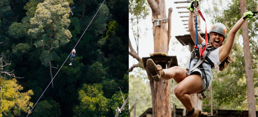 Treetop Challenge Adrenaline Pass