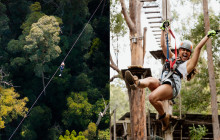 Tree Top Challenge6