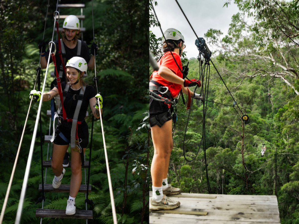 Tree Top Challenge