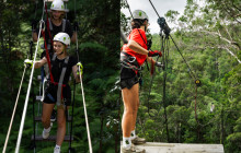 Tree Top Challenge3