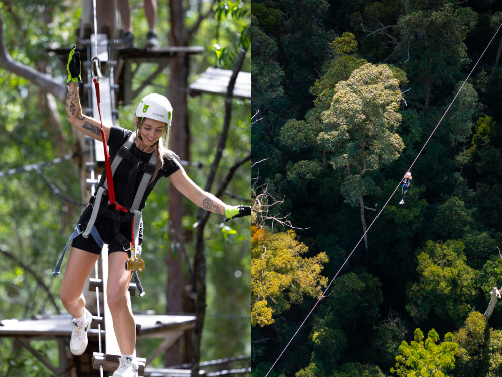 Tree Top Challenge