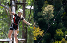Tree Top Challenge7