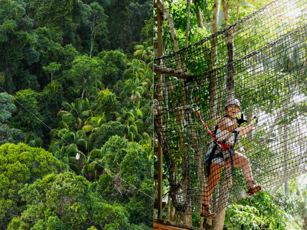 Tree Top Challenge