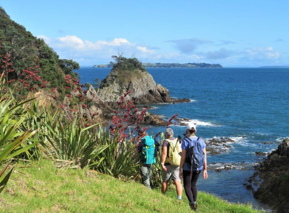 Waiheke Island Walking Tour