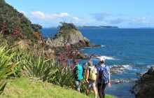 Auckland and Beyond Tours1