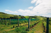 Auckland and Beyond Tours6