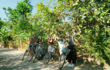 Discova Day Tours and Activities3