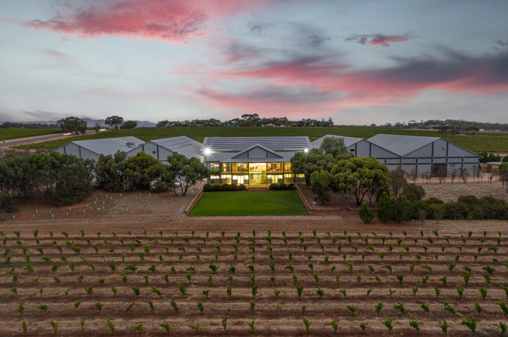 Small Batch Wine Tours