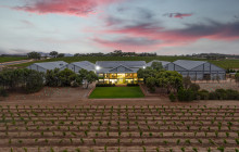 Small Batch Wine Tours6