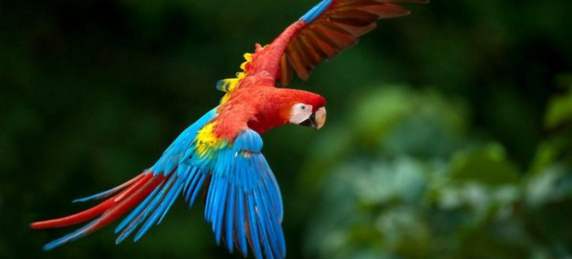 Private Ecuador Adventure Tour | 8-Day Multisport Journey