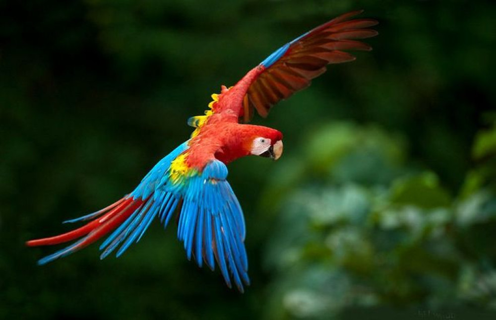 Private Ecuador Adventure Tour | 8-Day Multisport Journey
