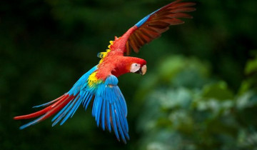 A picture of Private Ecuador Adventure Tour | 8-Day Multisport Journey