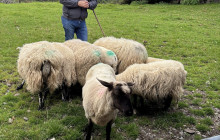 Luxury Irish Tours3