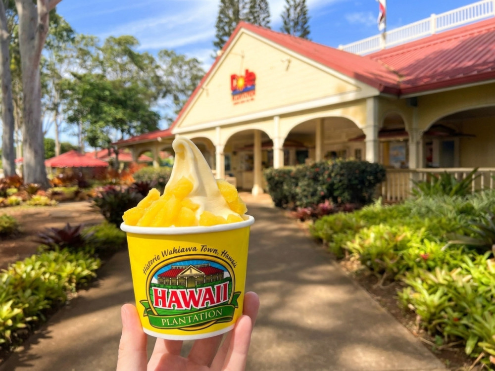 Afternoon Dole Plantation & Rum Tasting Tour
