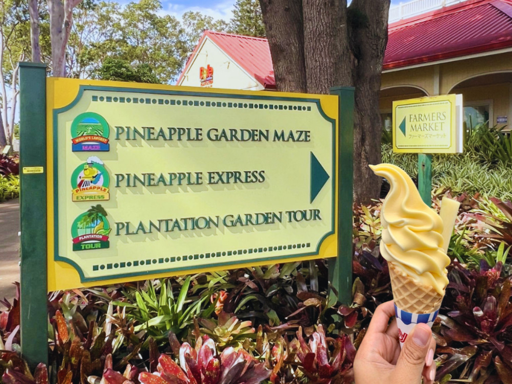 Afternoon Dole Plantation, Rum Tasting & Zipline Adventure on Oahu