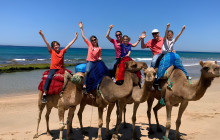 Yalah Travel Morocco LTD12