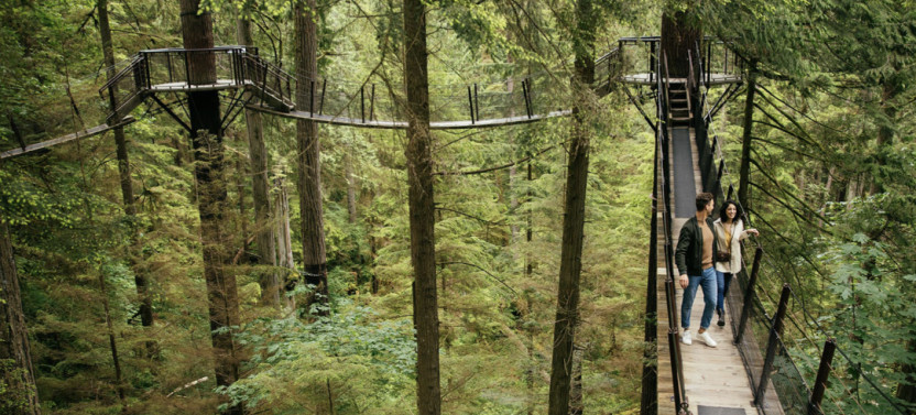 Capilano Suspension Bridge Park
