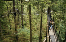 Capilano Suspension Bridge Park Ltd.1