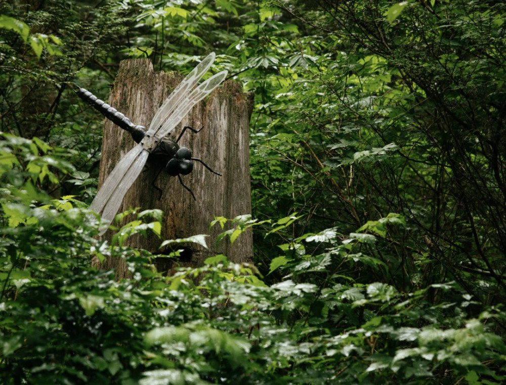 Capilano Suspension Bridge Park Ltd.