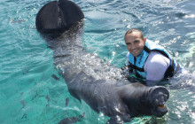 Dolphin Discovery10