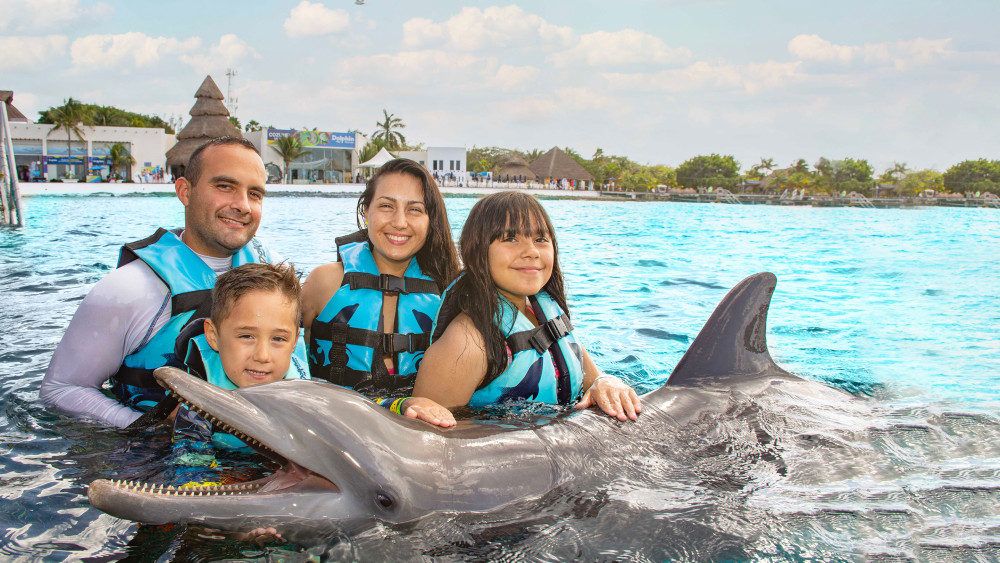 Dolphin Encounter: Cozumel + Parque Chankanaab + Buffet Lunch